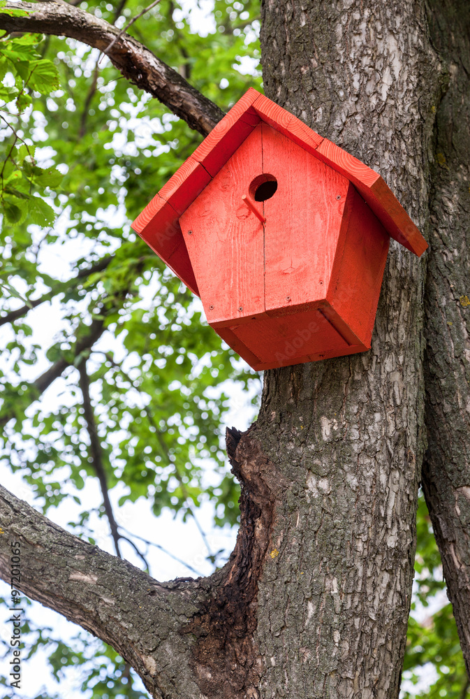 Red birdhouse hanging from a tree
