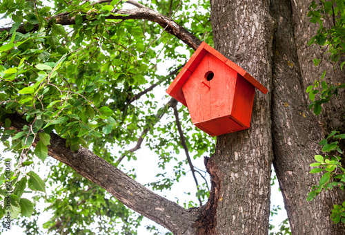 Red birdhouse hanging from a tree