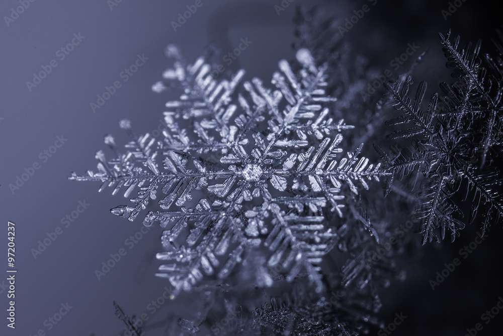 Natural snowflake crystal on dark background Natural snowflake crystal on dark background