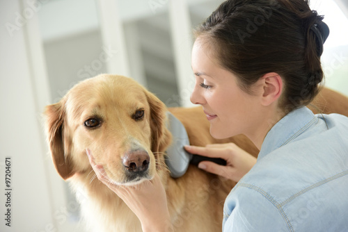 Fotografie Young woman brushing her dog's hair