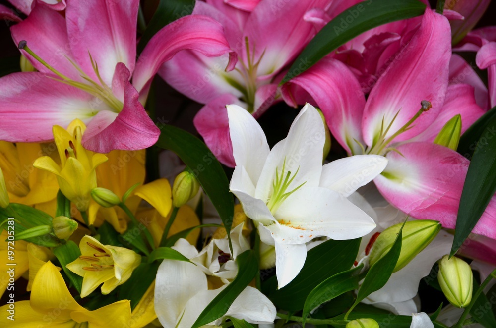 Obraz premium Flower bouquet with lily.