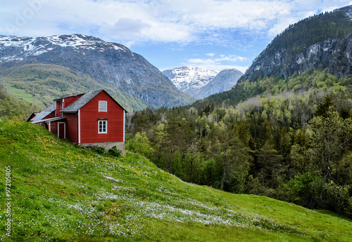 Red wooden cottage in the valley. Green grass, white flowers. Stone snowy mountains. Spring. Stalheim, Norway.