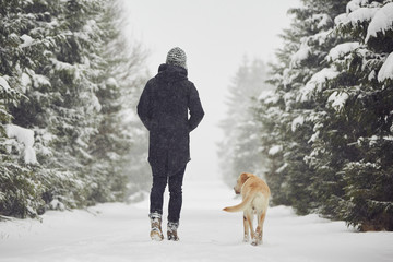 Winter walk