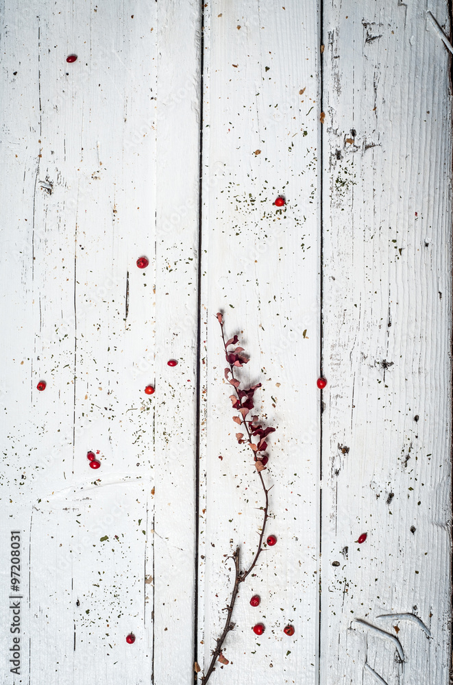 Barbed twig over wooden table Barbed twig over wooden table