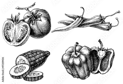 Vegetables isolated set, etch style