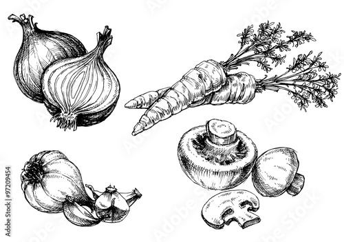 Vegetables collection, hand drawn vintage style
