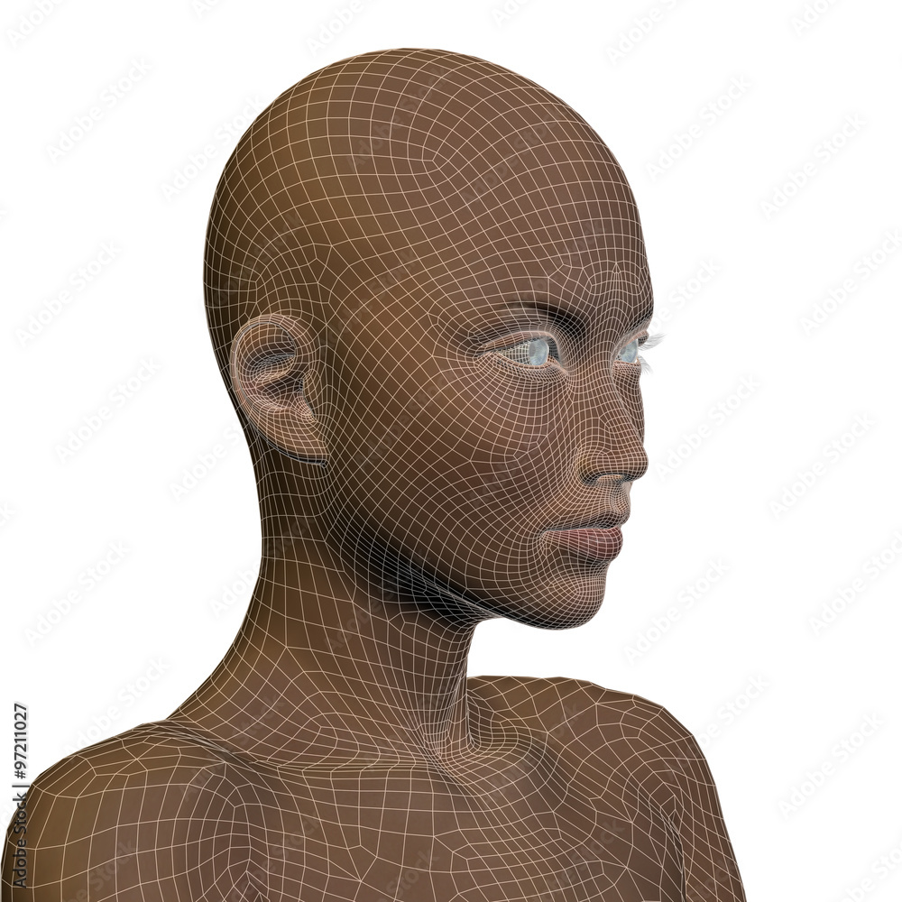 Conceptual 3D wireframe human female or woman face or head Stock Illustration | Adobe Stock