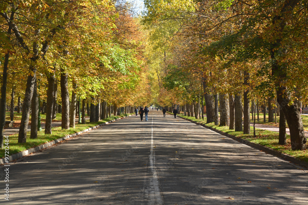 colores de otoño en un paseo de Burgos