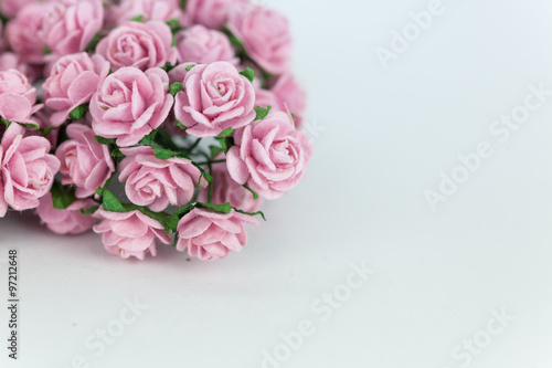 Light magenta roses in wood isolated background