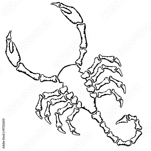 scorpion silhouette