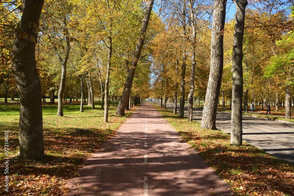 Naklejka premium colores de otoño en un parque de Burgos