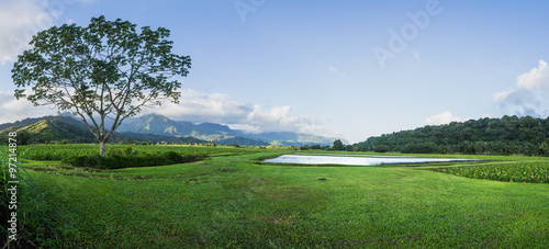 Panoramic view of Hanalei Valley in Kauai
