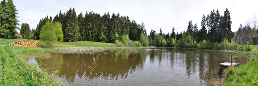 Teich am Waldrand in Südthüringen