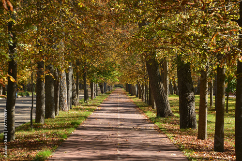 colores de otoño en un parque de Burgos