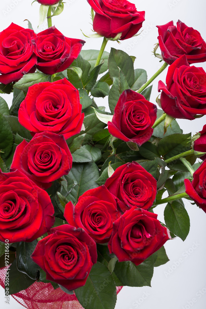 bouquet of blossoming dark red roses