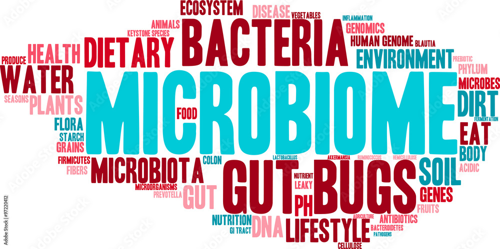 Fototapeta premium Microbiome Word Cloud