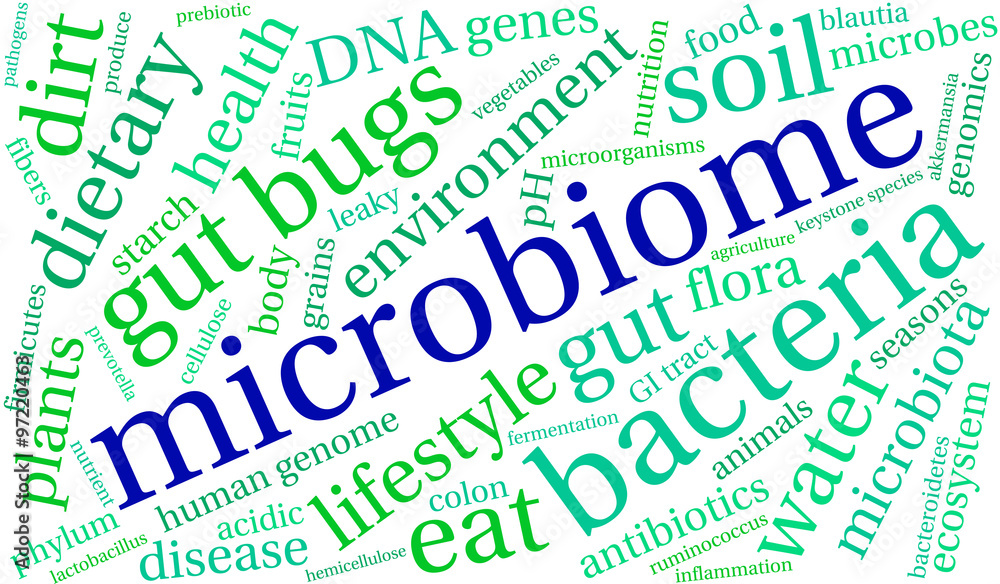 Microbiome Word Cloud Microbiome Word Cloud
