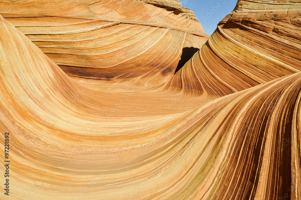 Obraz premium The Wave, sandstone in Coyote Buttes North (Arizona)
