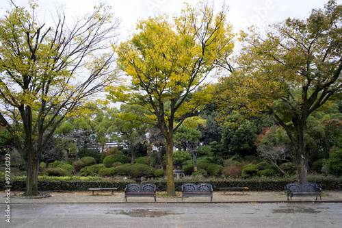 Japanese park and garden