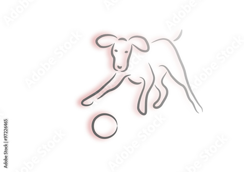 Dog playing with a ball
