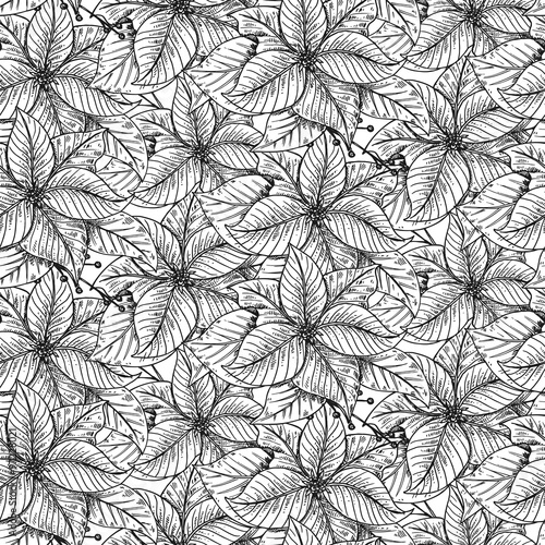 Vector seamless pattern with Hand drawn decorative poinsettia fl