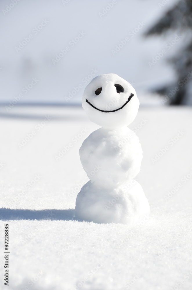 Funny snowman