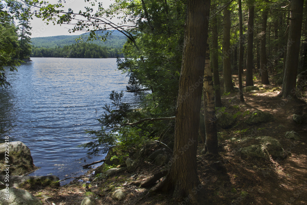 Shoreline and fresh water of Mountain View Lake in Sunapee, New Hampshire.