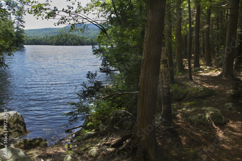 Shoreline and fresh water of Mountain View Lake in Sunapee, New Hampshire.