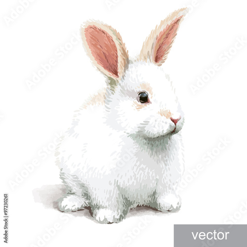 Easter realistic little rabbit illustration. Vector.