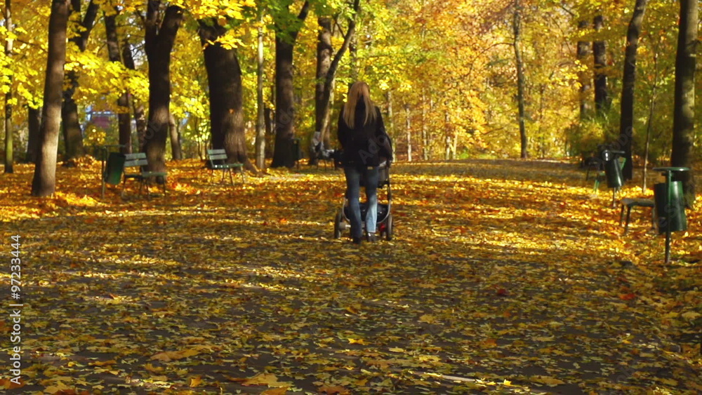 Mother with her newborn baby having a walk in the park, steadycam shot, slow motion shot
Mother with her newborn baby having a walk in the park, steadycam shot, slow motion shot