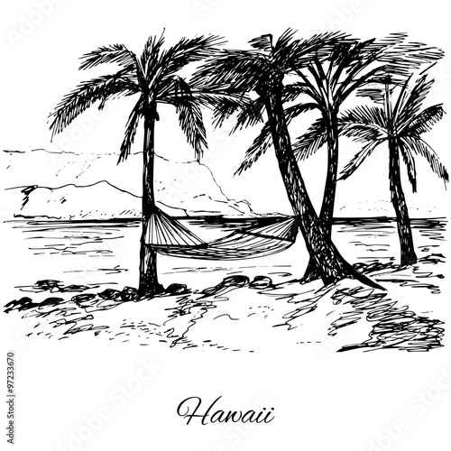 Hand drawn hammock around palm trees