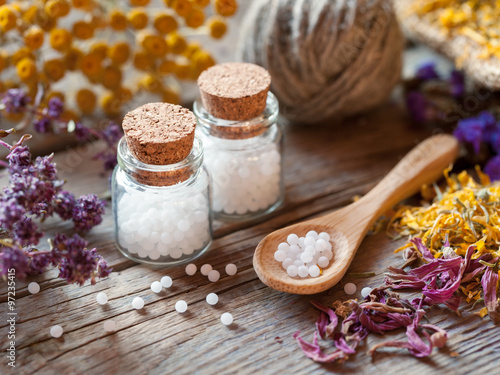 Quadro su tela Bottles of homeopathy globules, wooden spoon and dry healthy her
