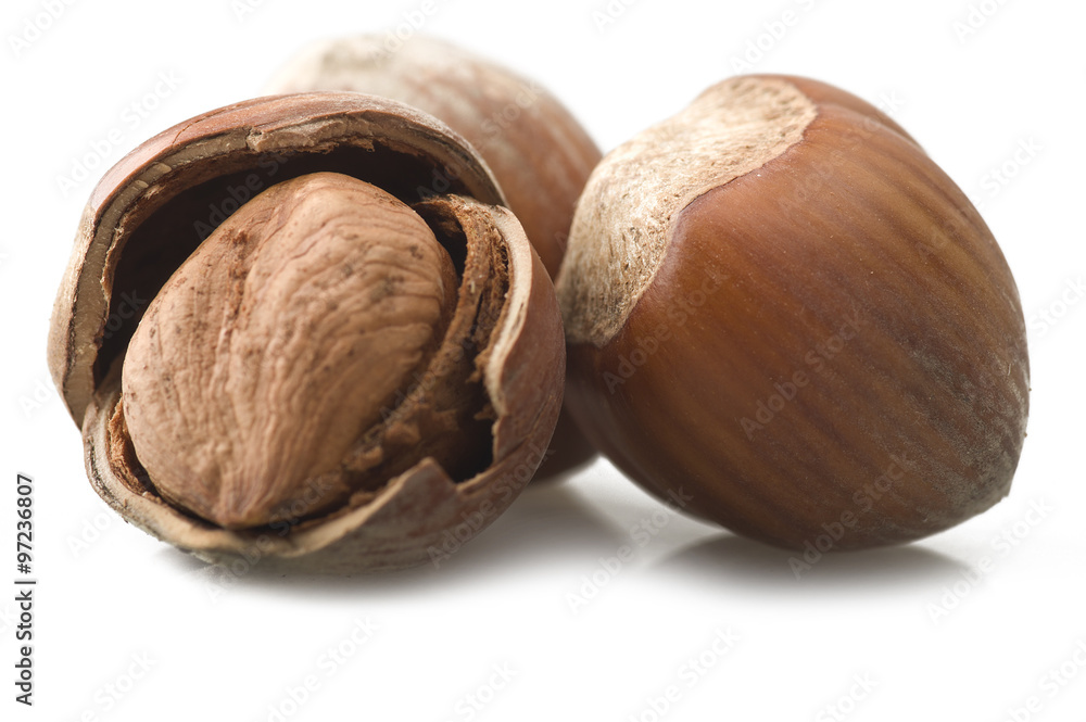 shelled hazelnuts close up on the white shelled hazelnuts close up on the white