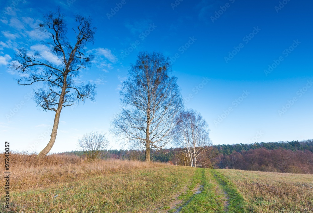 Landscape of fields at late autumn or winter