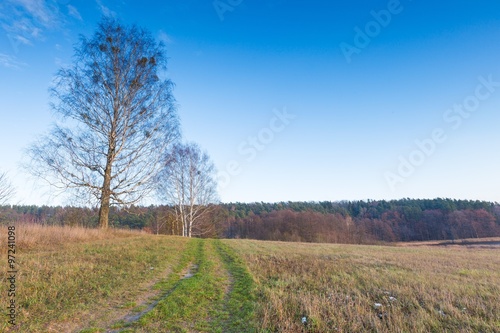 Landscape of fields at late autumn or winter