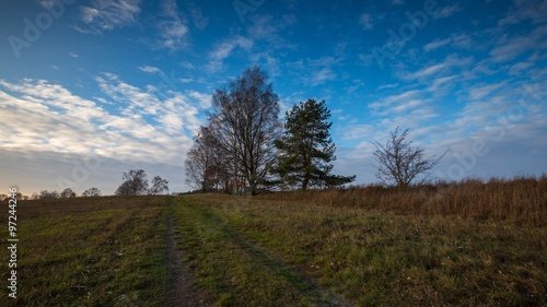 Landscape of fields at late autumn or winter © milosz_g
