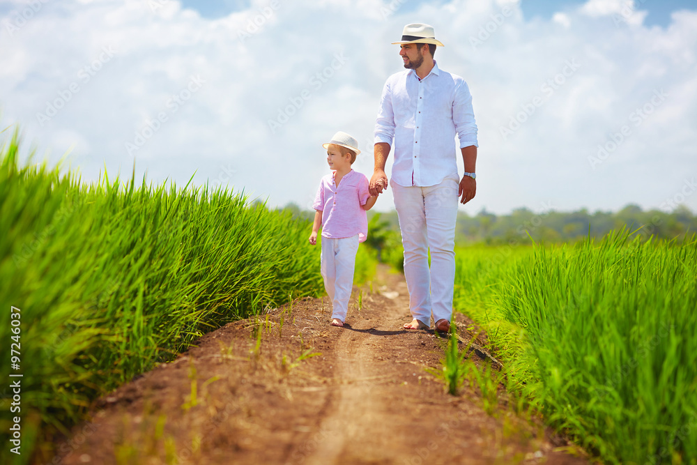barefoot father and son walking through the rice field barefoot father and son walking through the rice field