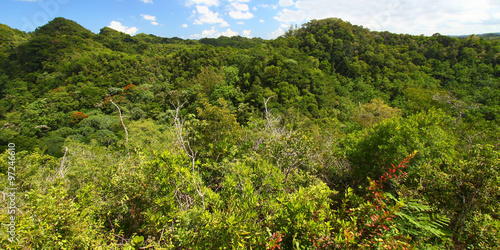 Guajataca Forest Reserve Puerto Rico photo