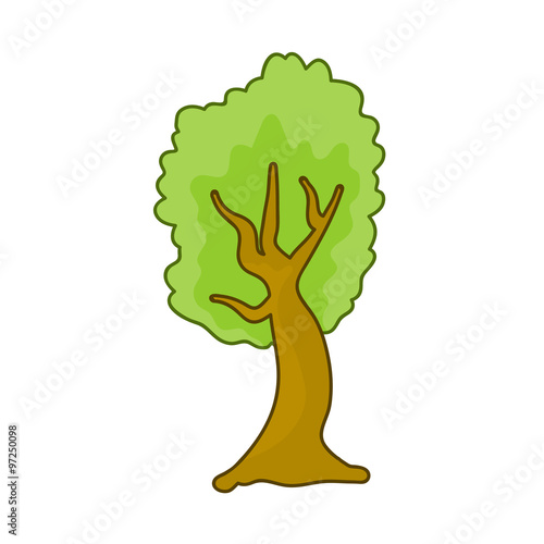 tree isolated illustration