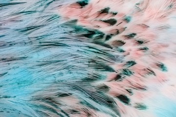 Handdoek met foto Texturen Bruine vogelveren zachte textuur  © pirotehnik