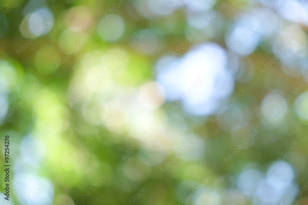 abstract background green boke abstract background green boke