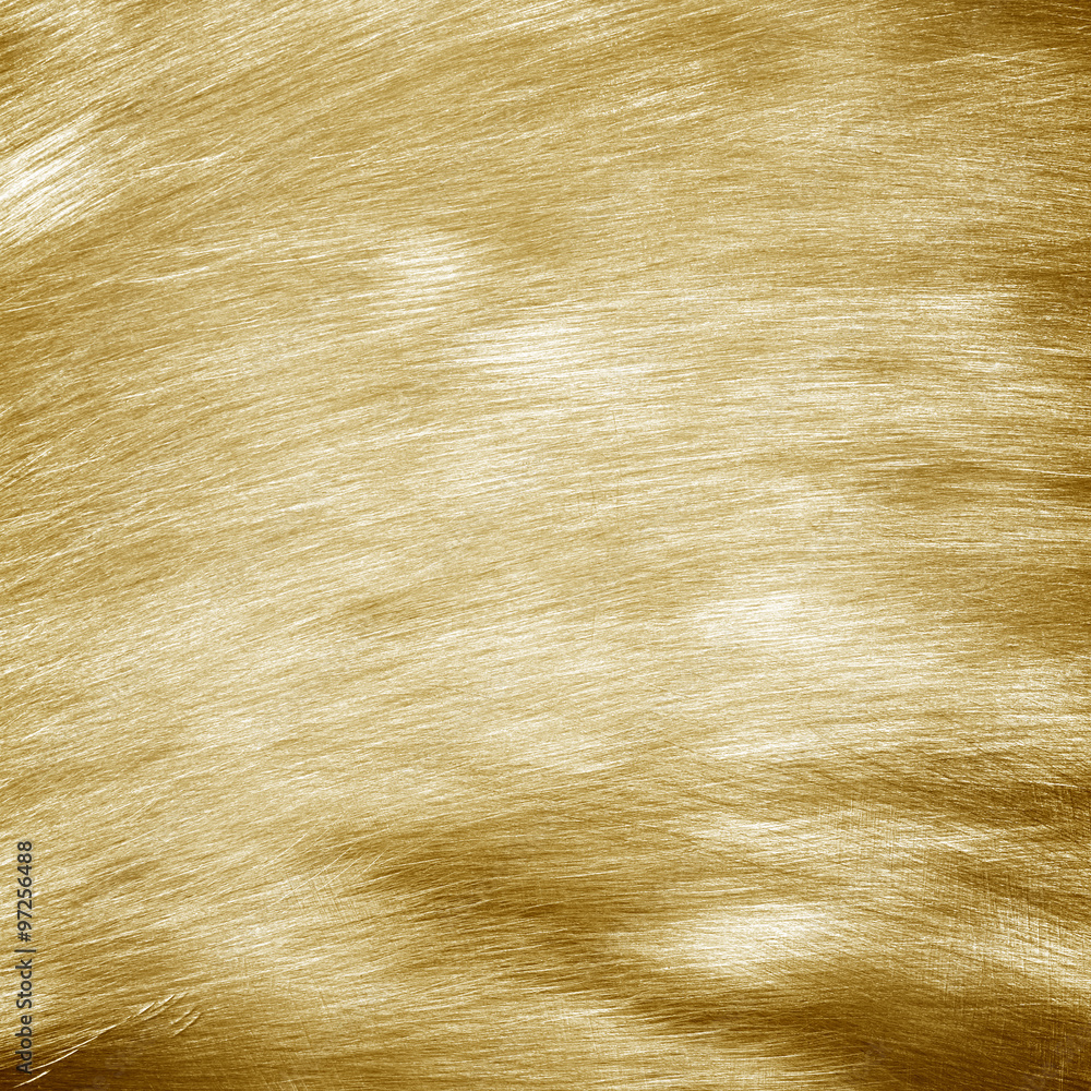 Fototapeta premium Shiny yellow leaf gold
