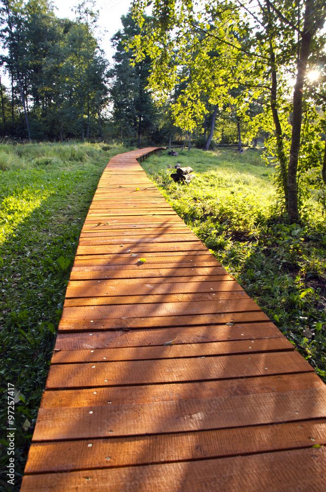 Wooden path through park Wooden path through park