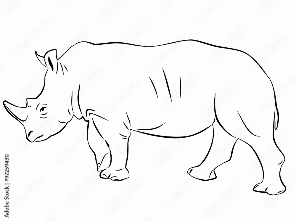 Fototapeta premium silhouette rhino, sketch vector