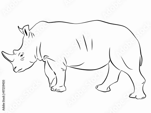 silhouette rhino  sketch vector