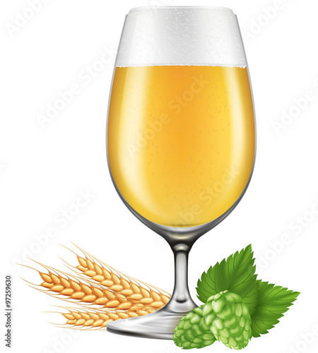 A glass of beer with barley and hops. Photo-realistic vector illustration.
