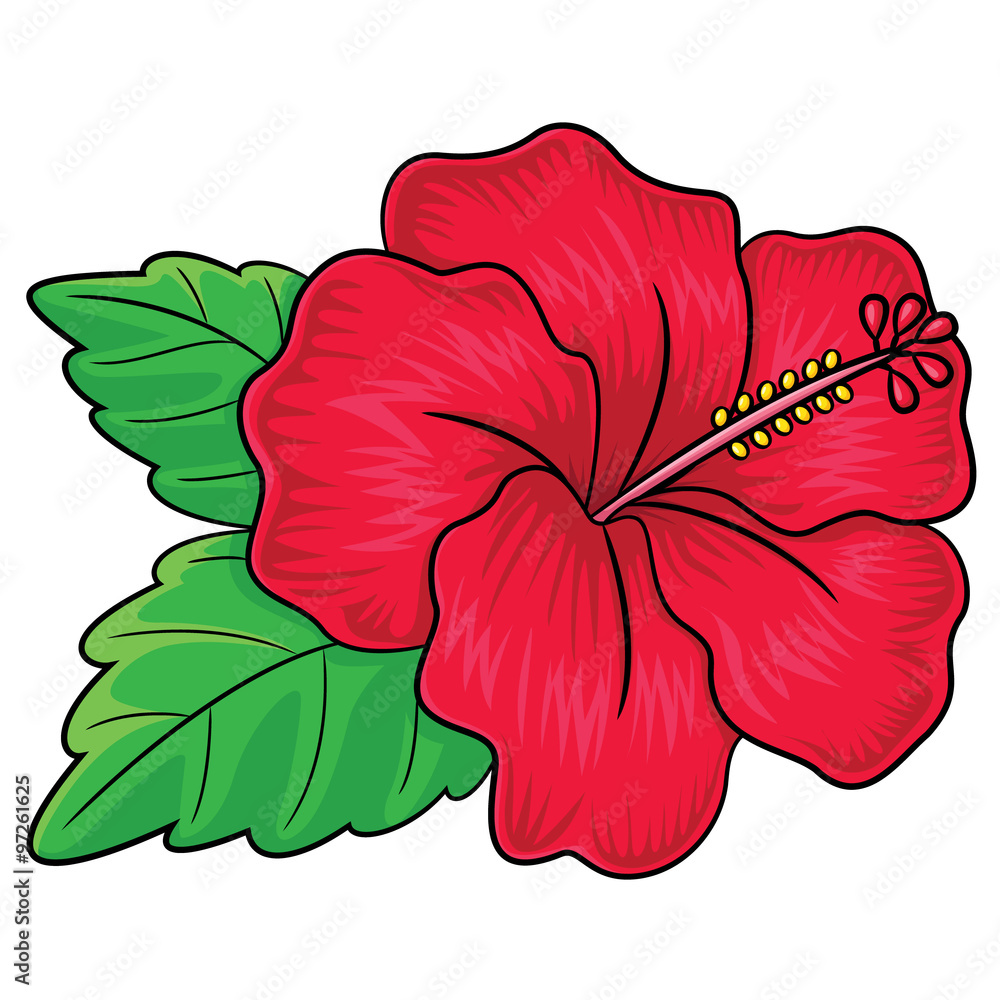 Hibiscus Flower Cartoon Illustration of cute cartoon hibiscus flower