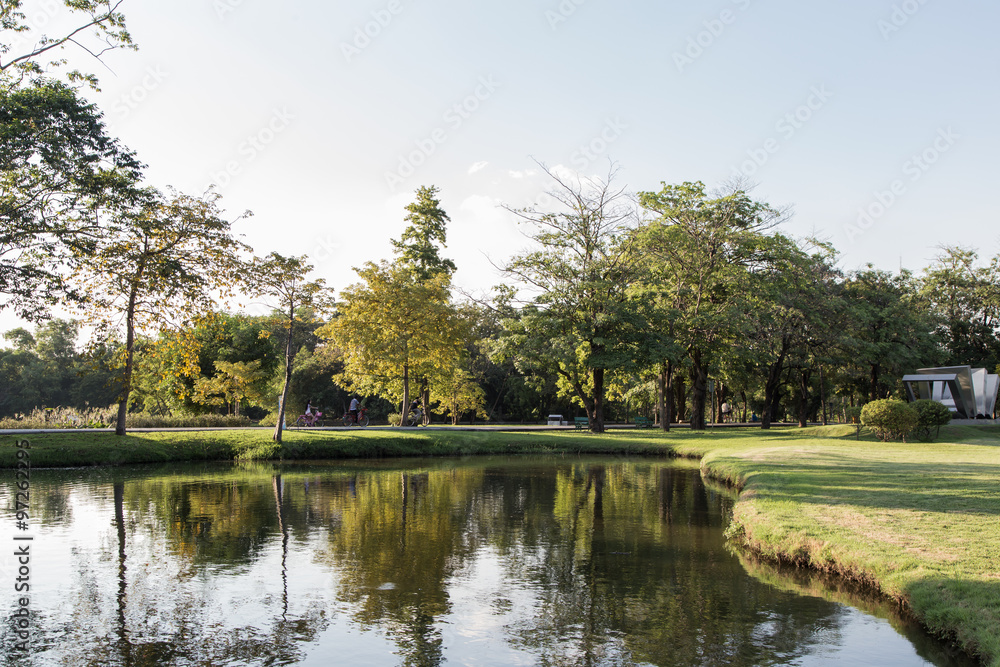 Bright autumn landscape in the city park.,Vachirabenjatas Park (Rot Fai Park) in Thailand
