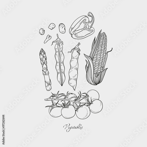 Collection of hand-drawn vegetables, vector illustration in vintage style.