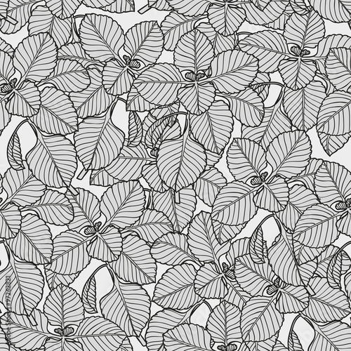 Vector seamless pattern with regano . Hand drawn illustration.